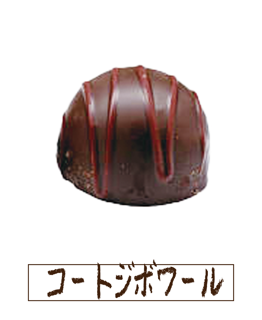 コートジボワール