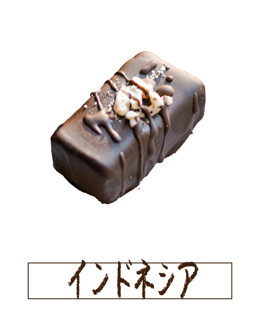 インドネシア
